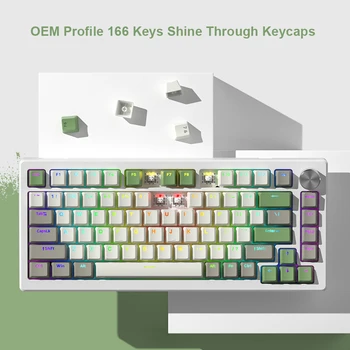 Просвечивающие Колпачки для клавиш PBT Custom Double Shot Keycaps OEM/XVX Profile для 60% 65% 75% 100% клавиатур Cherry Gateron MX Switches