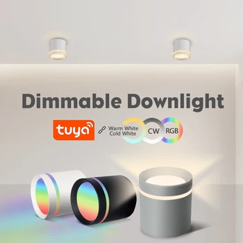 Умный Светильник Dimmable LED Downlight 13W 220V для помещений с управлением Tuya Bluetooth Потолочный светильник Алюминиевые точечные светодиодные светильники для комнаты