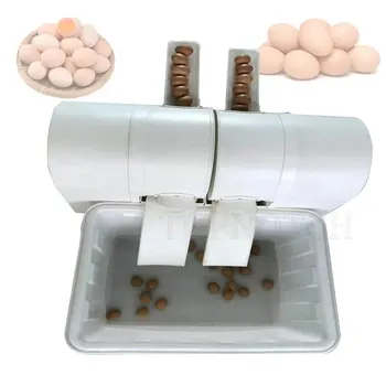Многофункциональная стиральная машина для очистки свежих яиц с рециркуляцией воды, автоматическая мойка яиц 